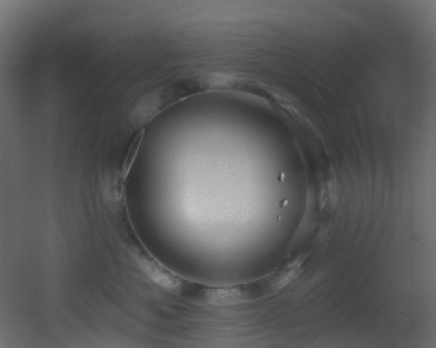 X0000053080525200507111247