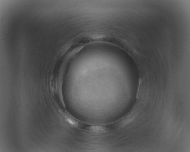 X0000053080528200507111247