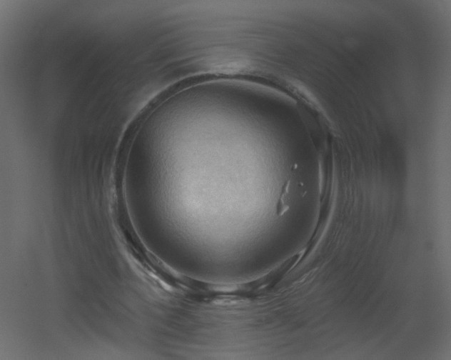 X0000053080532200507111247