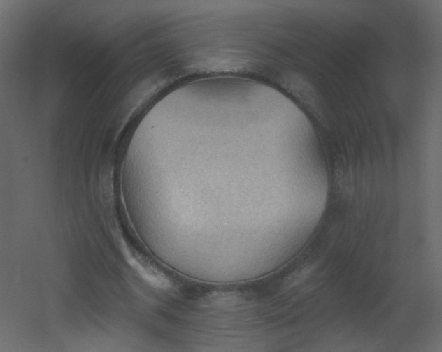X0000053080534200507111247