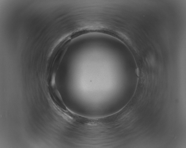 X0000053080535200507111247