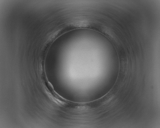 X0000053080541200507111247