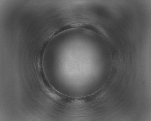 X0000053080549200507111247