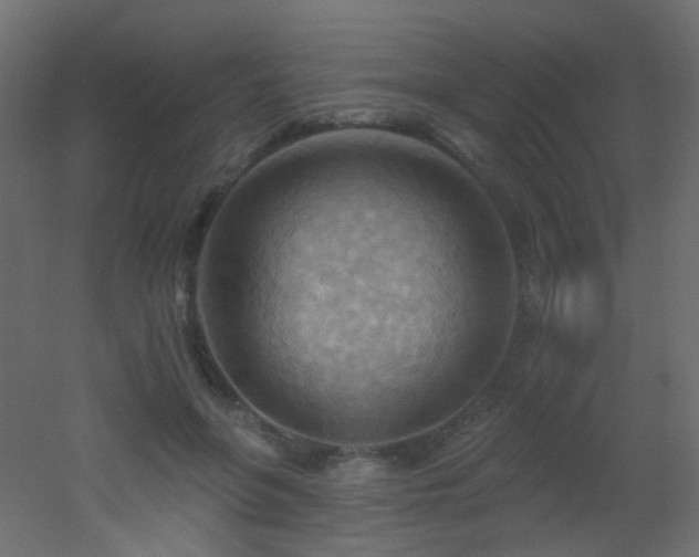 X0000053080551200507111247