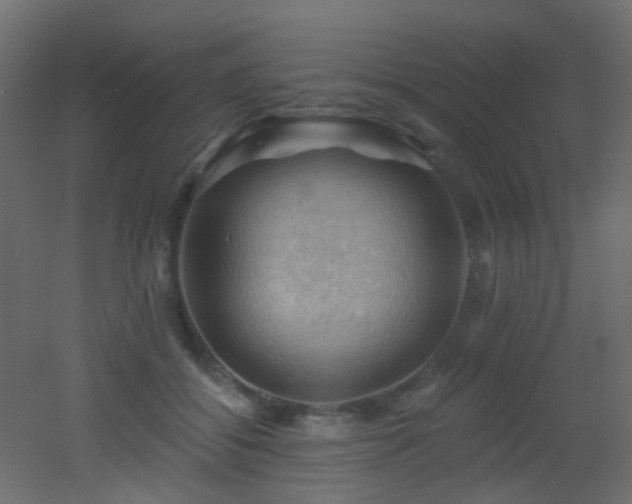 X0000053080556200507111247