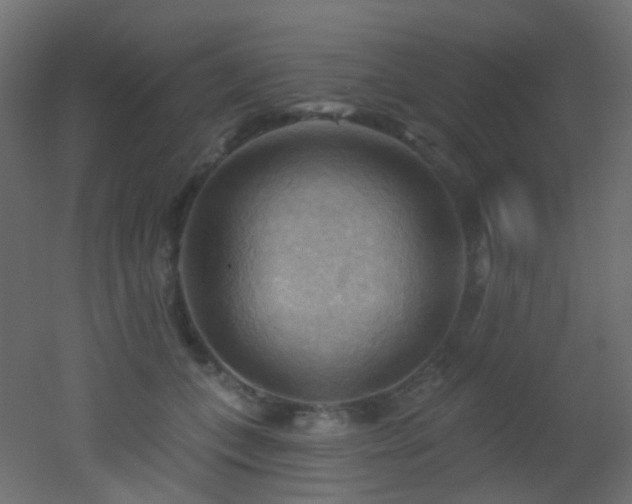 X0000053080559200507111247