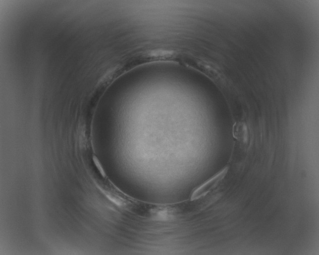 X0000053080564200507111247
