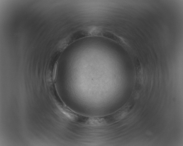 X0000053080571200507111247