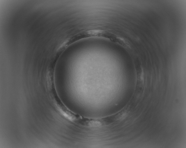 X0000053080572200507111247