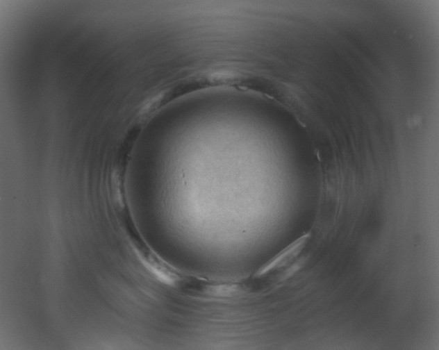X0000053080575200507111247