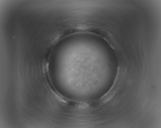 X0000053080576200507111247