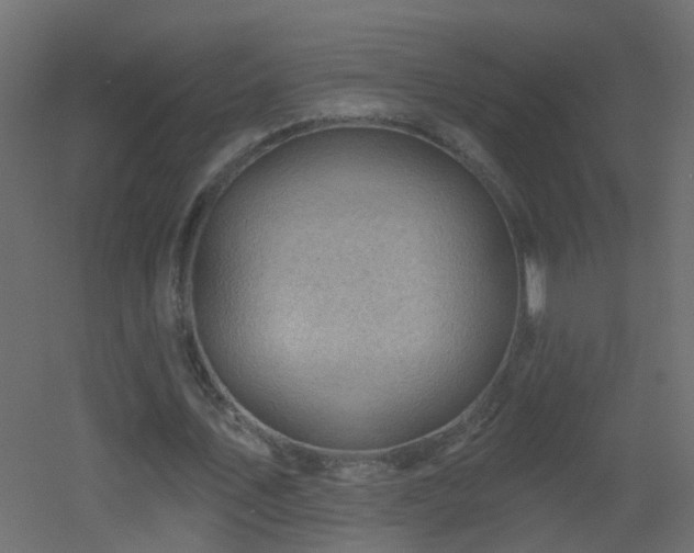 X0000053080579200507111247