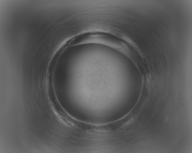 X0000053080580200507111247