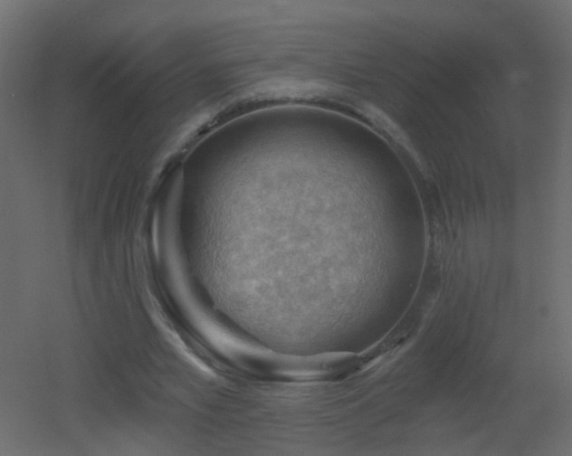 X0000053080581200507111247