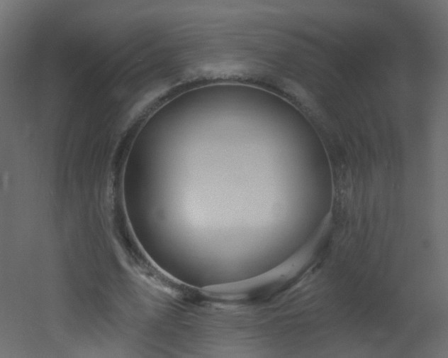 X0000053080583200507111247