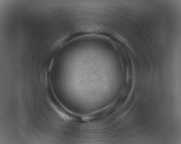 X0000053080589200507111246