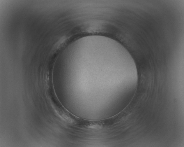 X0000053080592200507111246