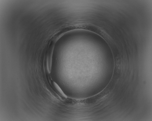 X0000053080593200507111246
