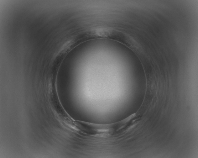 X0000053080595200507111246