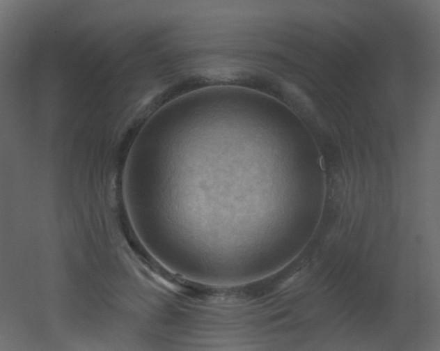 X0000053080596200507111246