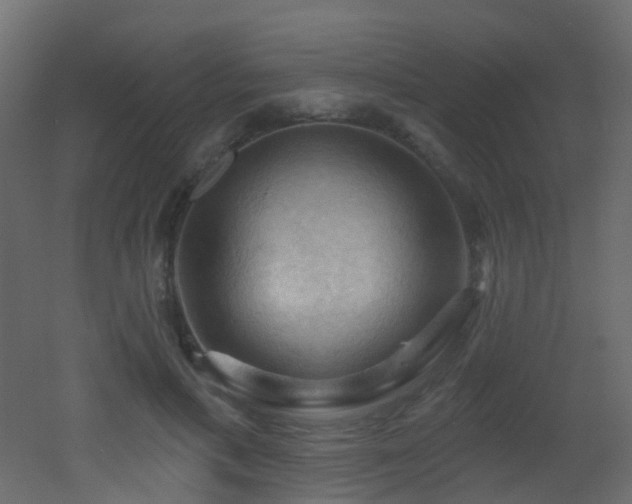 X0000053080597200507111246