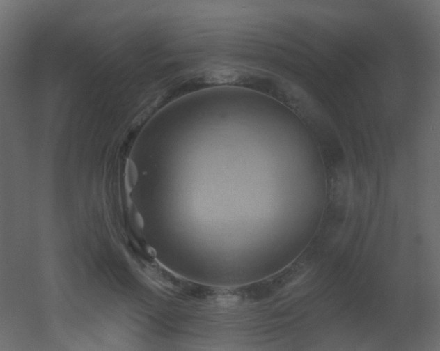 X0000053080598200507111246