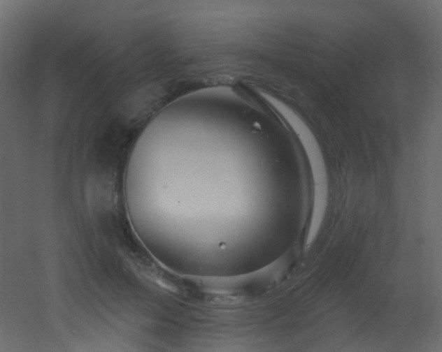 X0000053080599200507111246