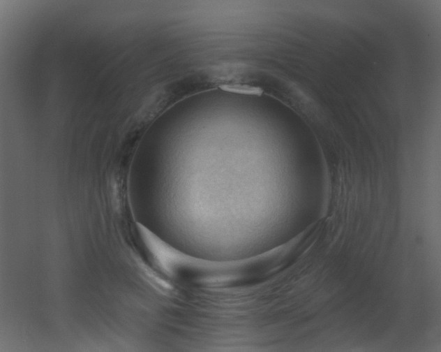 X0000053080601200507111246