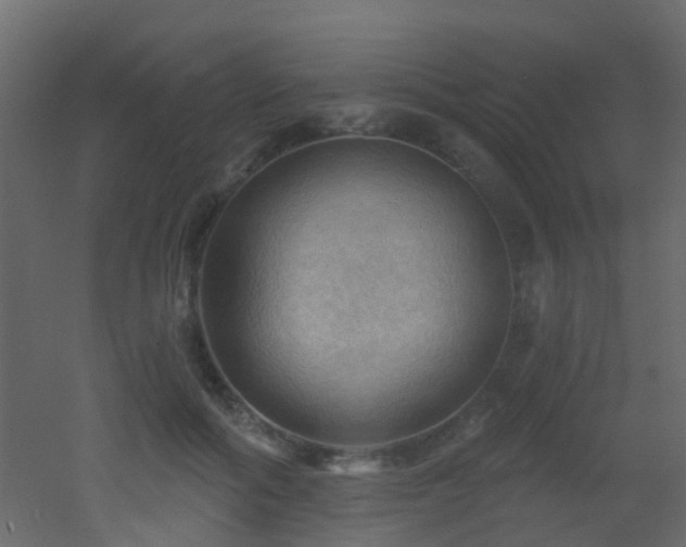 X0000053080602200507111246