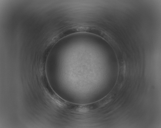 X0000053080604200507111246