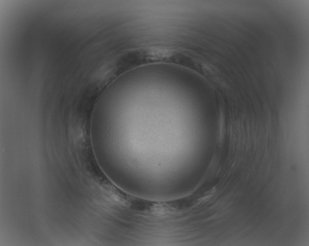X0000053080608200507111246