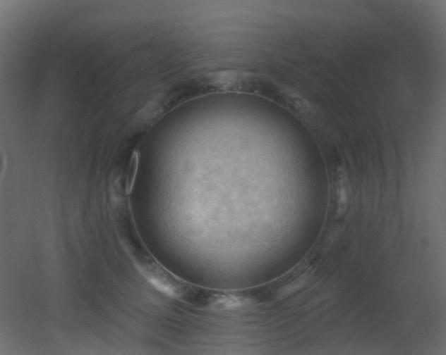 X0000053080611200507111246