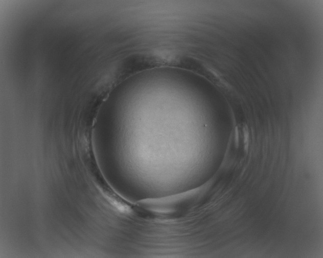X0000053080613200507111246