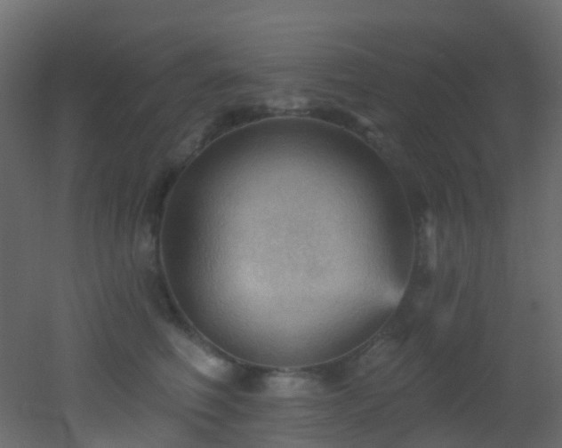 X0000053080614200507111246