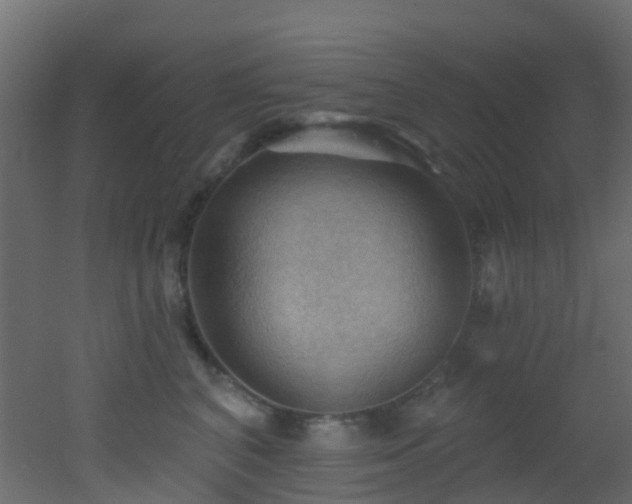 X0000053080616200507111246