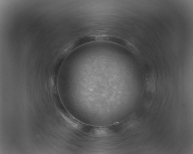 X0000053080618200507111246