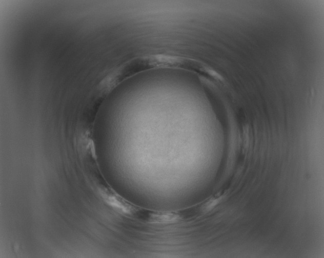 X0000053080621200507111246