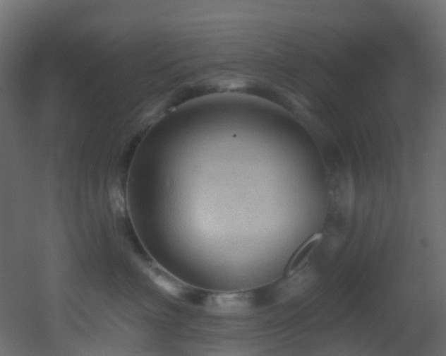 X0000053080622200507111246