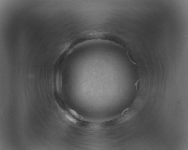 X0000053080624200507111246