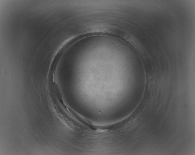 X0000053080628200507111245