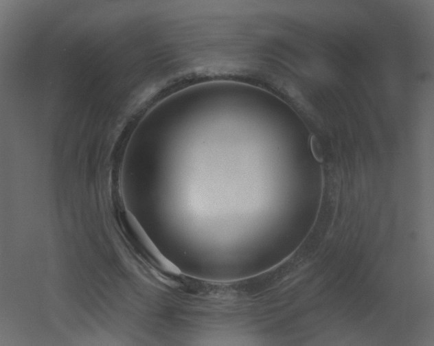 X0000053080631200507111245