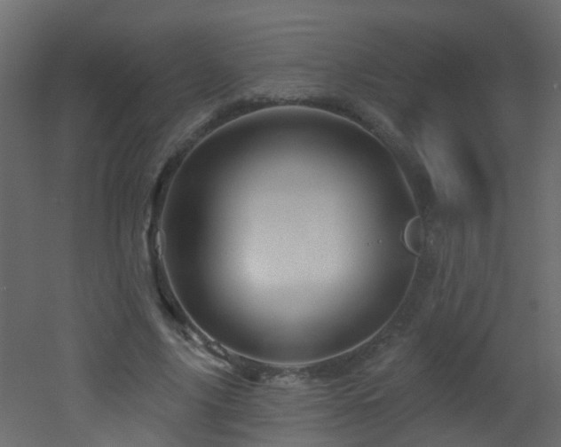X0000053080635200507111245