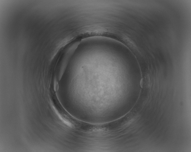 X0000053080638200507111245