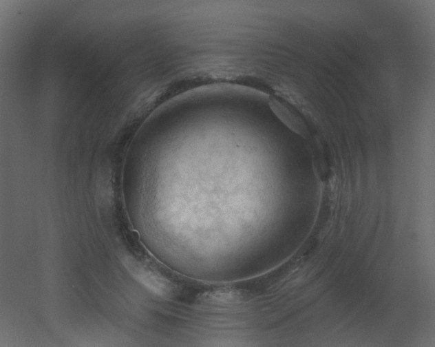X0000053080639200507111245