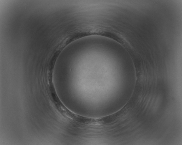 X0000053080643200507111245
