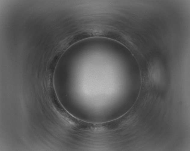 X0000053080645200507111245