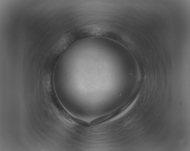 X0000053080646200507111245