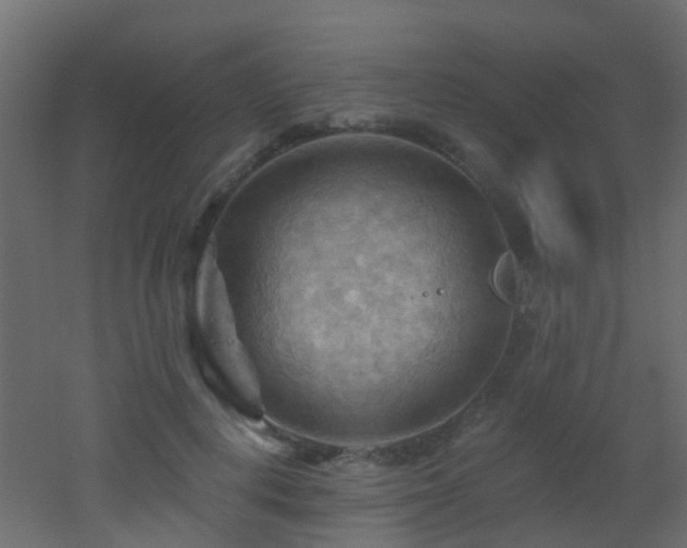 X0000053080648200507111245