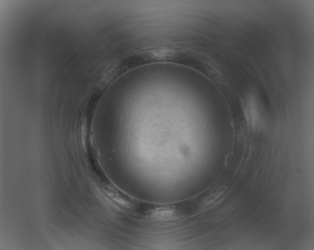 X0000053080651200507111245