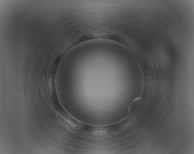 X0000053080653200507111245
